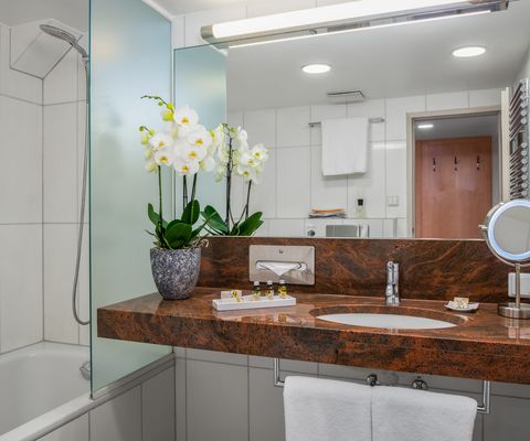 Badezimmer - Studio im Appartement-Hotel an der Riemergasse