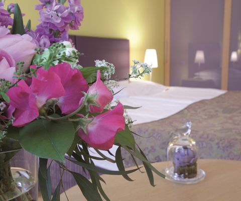 Studio im Appartement-Hotel an der Riemergasse